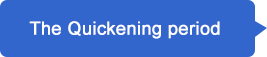 quickening period